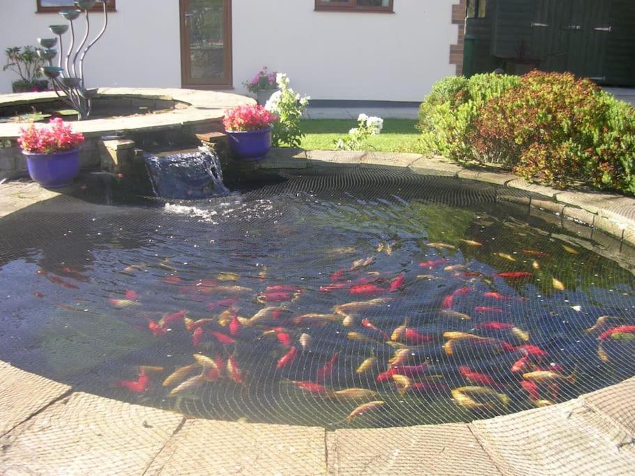 Coastal Garden Lodge Preesall 外观 照片